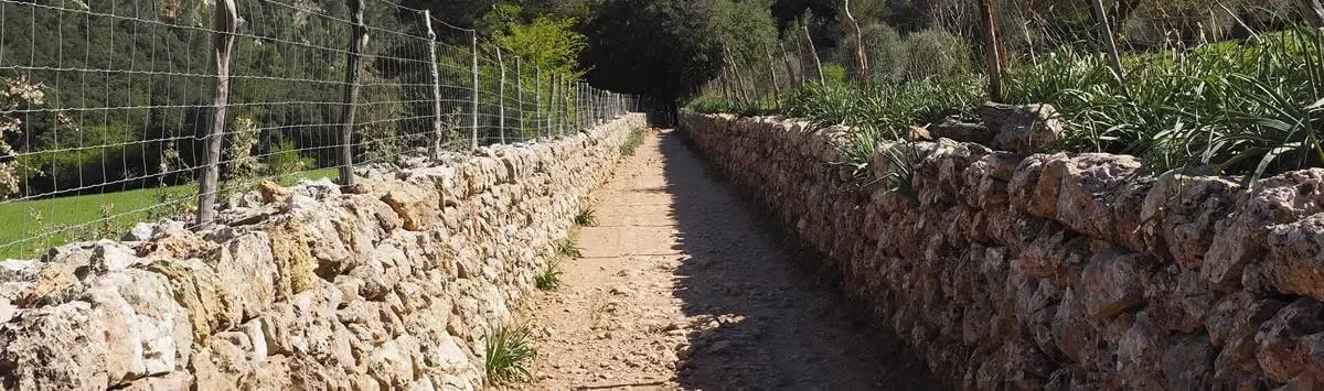 mallorquinischer Weg.webp