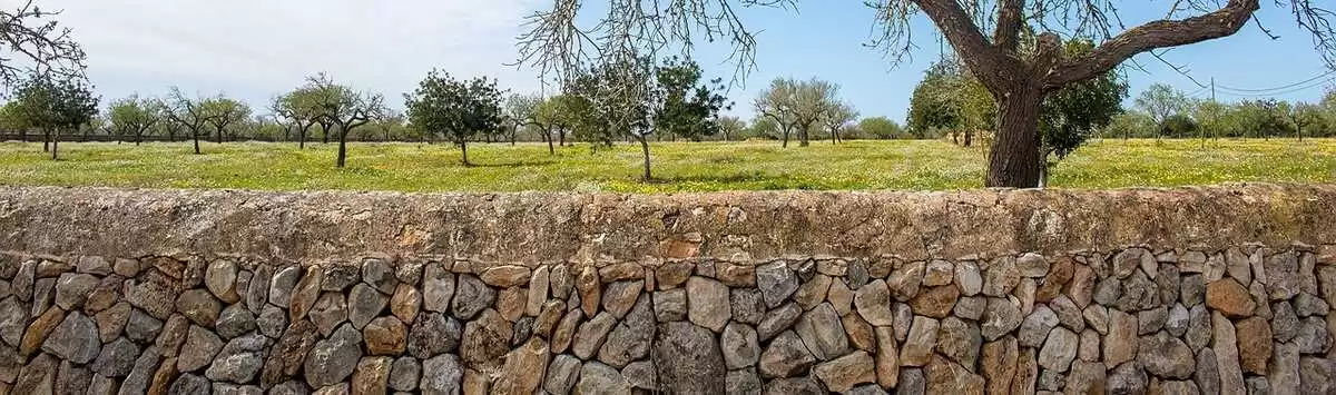 Steinmauer in Llucmajor.webp