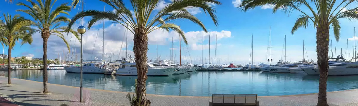Yachthafen in Palma de Mallorca.webp