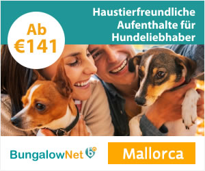 Urlaub mit Haustier