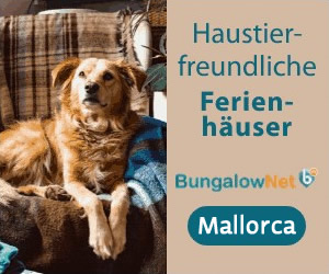 Ferienwohnungen mit hund