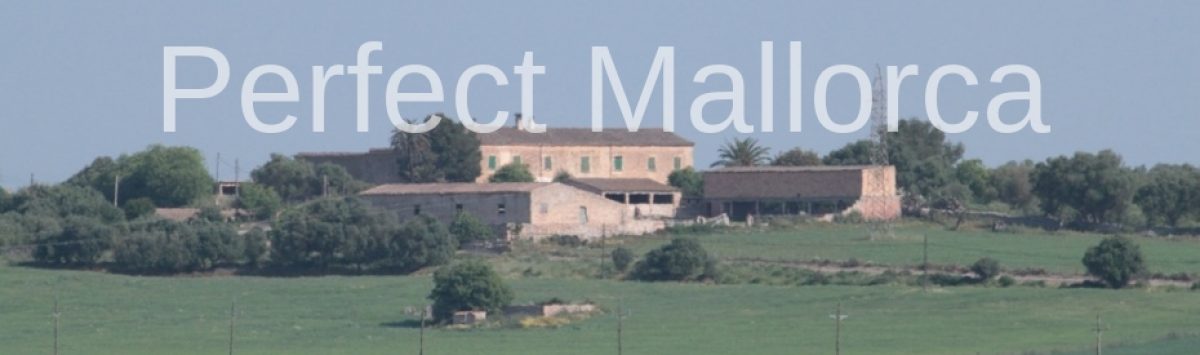 Imagen de la propiedad: 851.360m² finca con 600m² espacio habitable para la venta