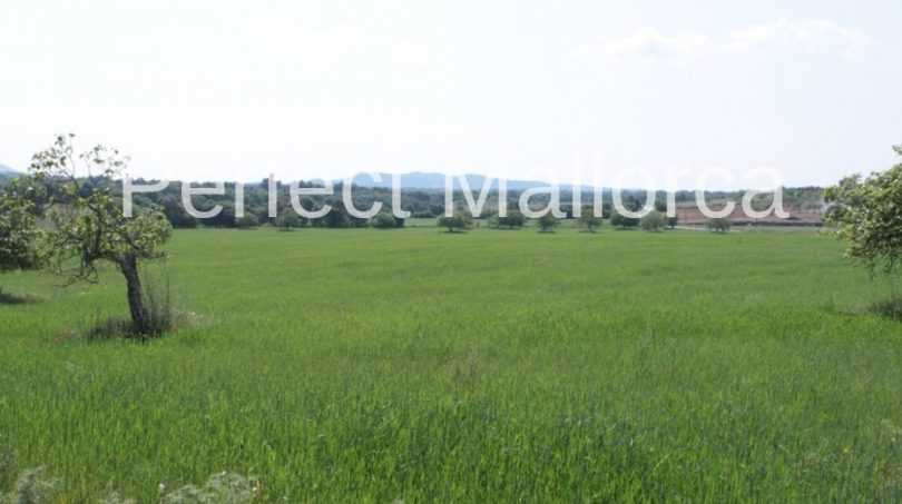 PM07130-09