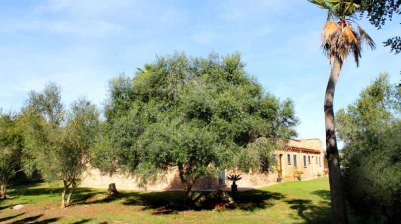 Garten