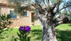 Finca und Garten