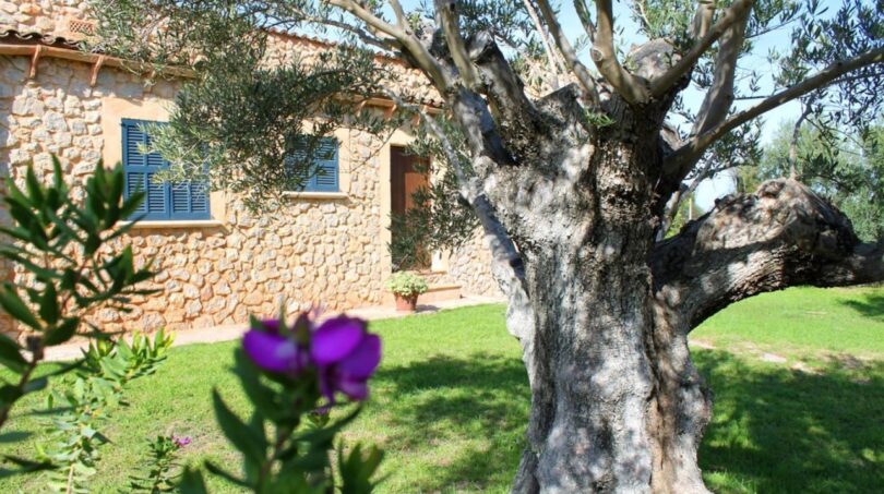 Finca und Garten