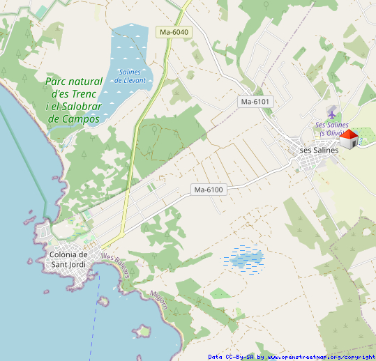 Ses Salines