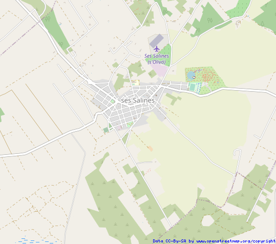 Ses Salines