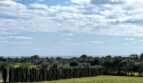 Ausblick
