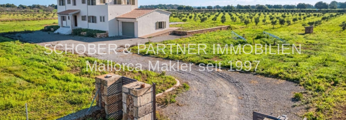 Finca Es Regalo 2, reale Bilder (1)