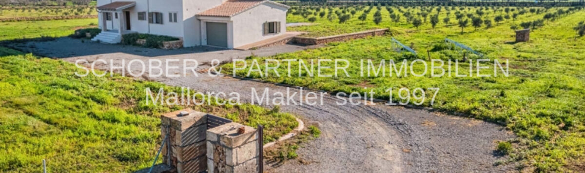 Bild zum Objekt: Finca mit 4 SZ, 3 Bädern, Garage & Pool zum Verkauf; Neubau