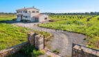 Finca Es Regalo 2, reale Bilder (1)