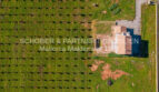 Finca Es Regalo 2, reale Bilder (2)