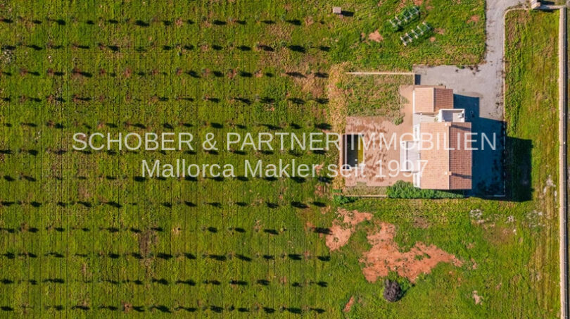 Finca Es Regalo 2, reale Bilder (2)