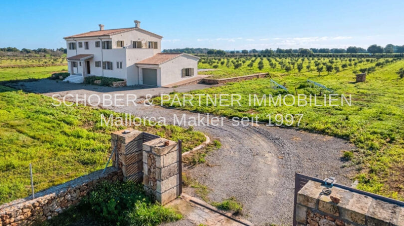 Finca Es Regalo 2, reale Bilder (1)