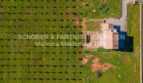 Finca Es Regalo 2, reale Bilder (2)