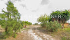 Access road