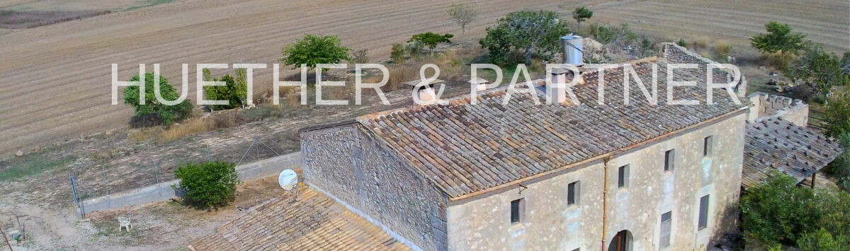 View of the property: 5.000m² finca with 8 rooms and 2 bathrooms for sale