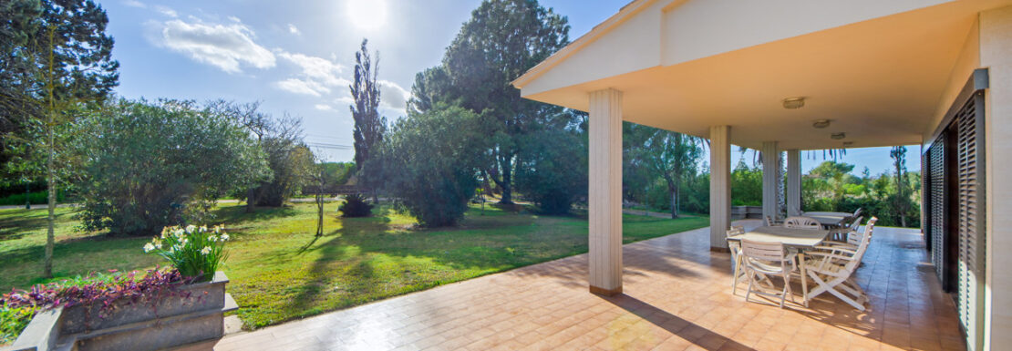 Blick in den Garten