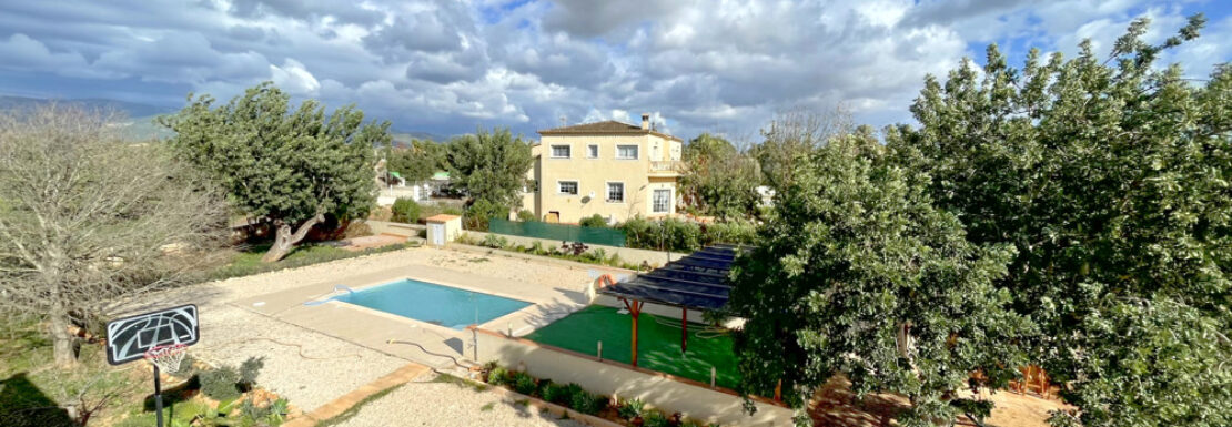 Garten mit Pool