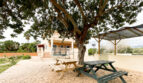 Garden seating area