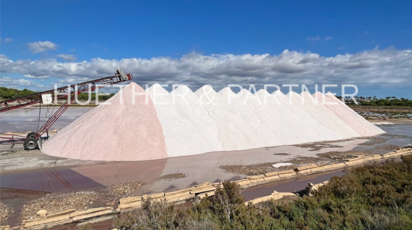 Salt de Ses Salines