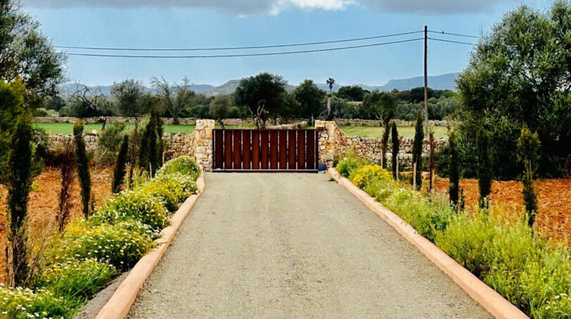 Entrada actual