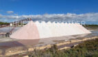 Salt de Ses Salines