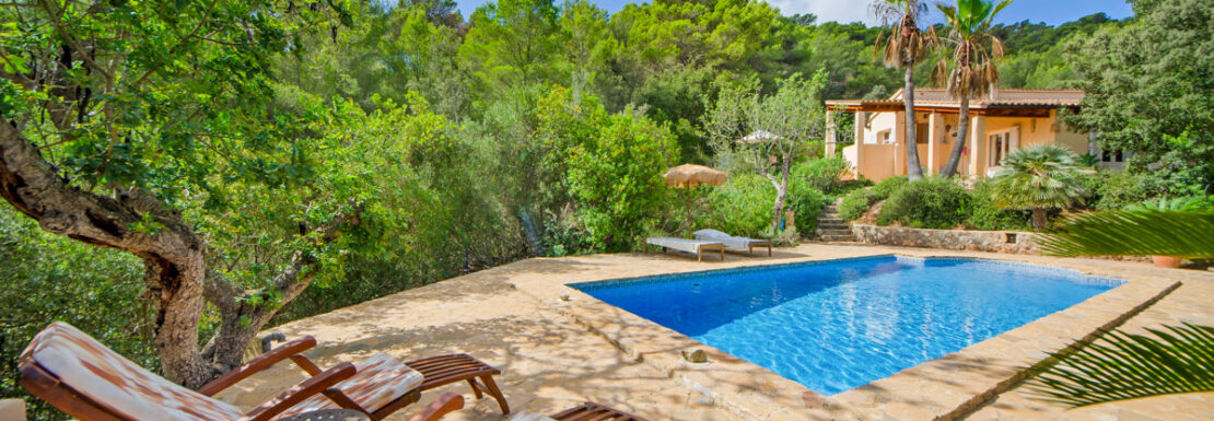 Vista desde la piscina a la casa