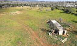 Traum-Baugrundstück nahe Porto Cristo – Eine Oase der Ruhe, 17105m², Meerblick, mit Bestandsfinca