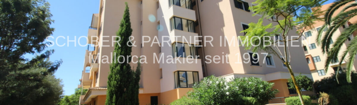 Bild zum Objekt: 63m² EG-Wohnung mit 2 Zimmern, Bad & 90m² Terrasse zum Verkauf
