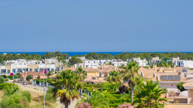 Vista sobre la planta