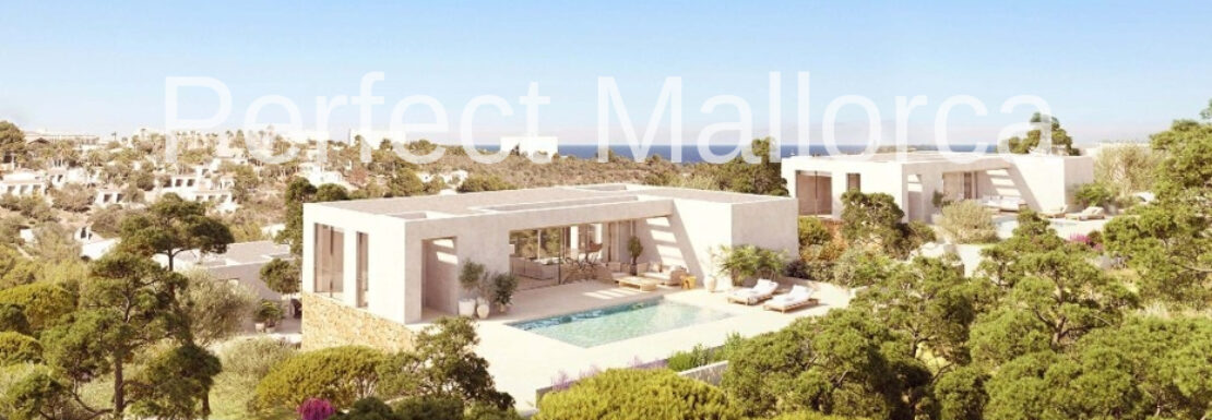 PM07375_Neubau_Einfamilienhaus-Pool-Meerblick_Cala-Murada_03