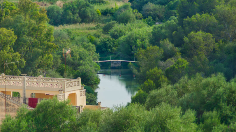 View of the green zone