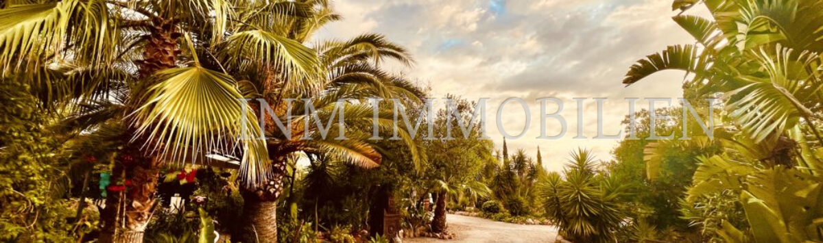 View of the property: Finca with 3 guest houses, pool and V. license for sale