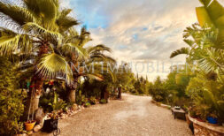 Finca with separate guest houses and rental license in Llucmajor
