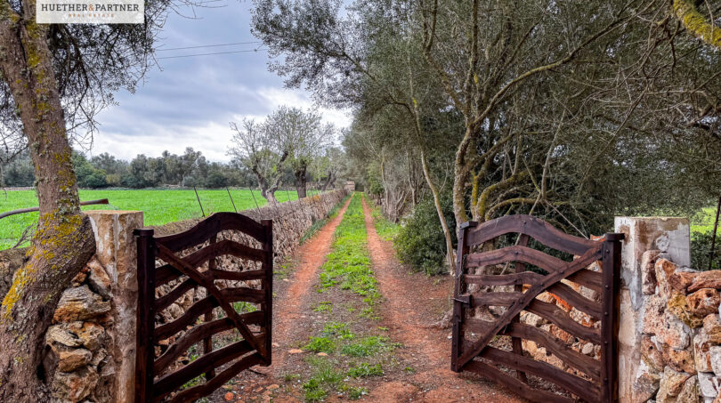 Gate