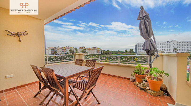Terraza 1