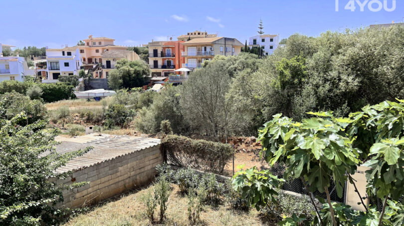 Jardín