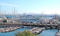 Spacious apartment in Palma at the port of Can Barbara from 1.7.2025