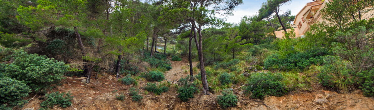 Bild zum Objekt: 600m² Baugrundstück mit Meerblick in Costa de Canyamel zum Verkauf