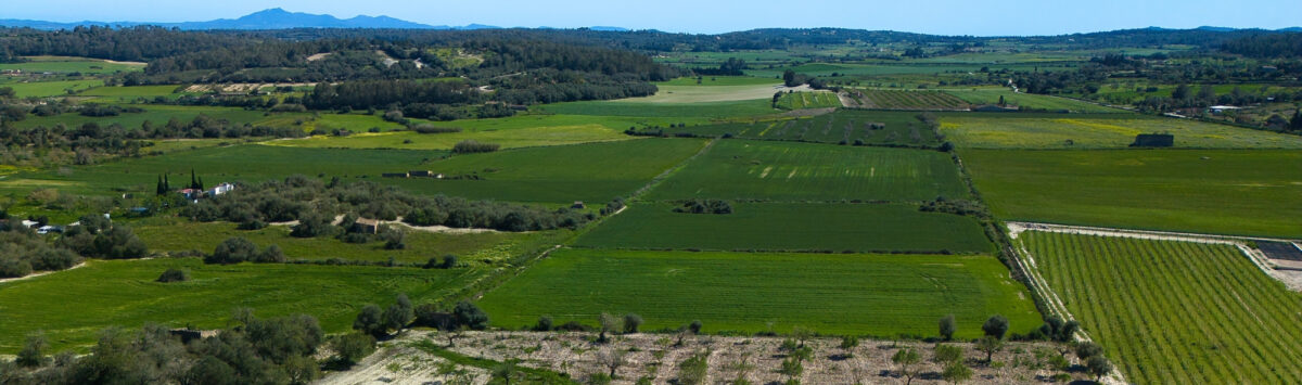 Imagen del inmueble: 14.535m² parcela para un EFH en Montuïri a la venta