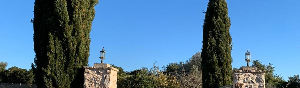 Bild zum Objekt: 23.700m² Baugrundstück in Santa Margalida zu verkaufen