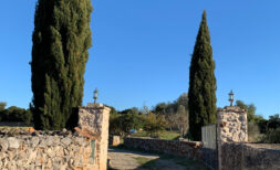 Ruhig und versteckt gelegenes Baugrundstück im schönen Umland von Santa Margalida