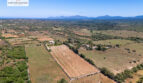 Grundstück Santa Margalida