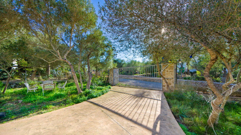 Driveway