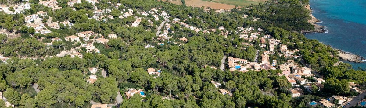 Bild zum Objekt: 683m² Grundstück in Hanglage zum Verkauf; Spekulationsobjekt