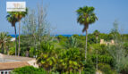 DSC_0969-Editar