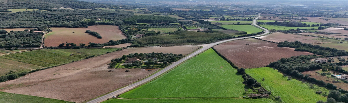 Bild zum Objekt: 61.440m² Grundstück mit genehmigtem Bauantrag (EFH) zum Verkauf