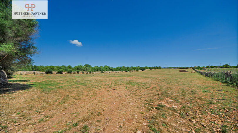 Grundstück Santa Margalida